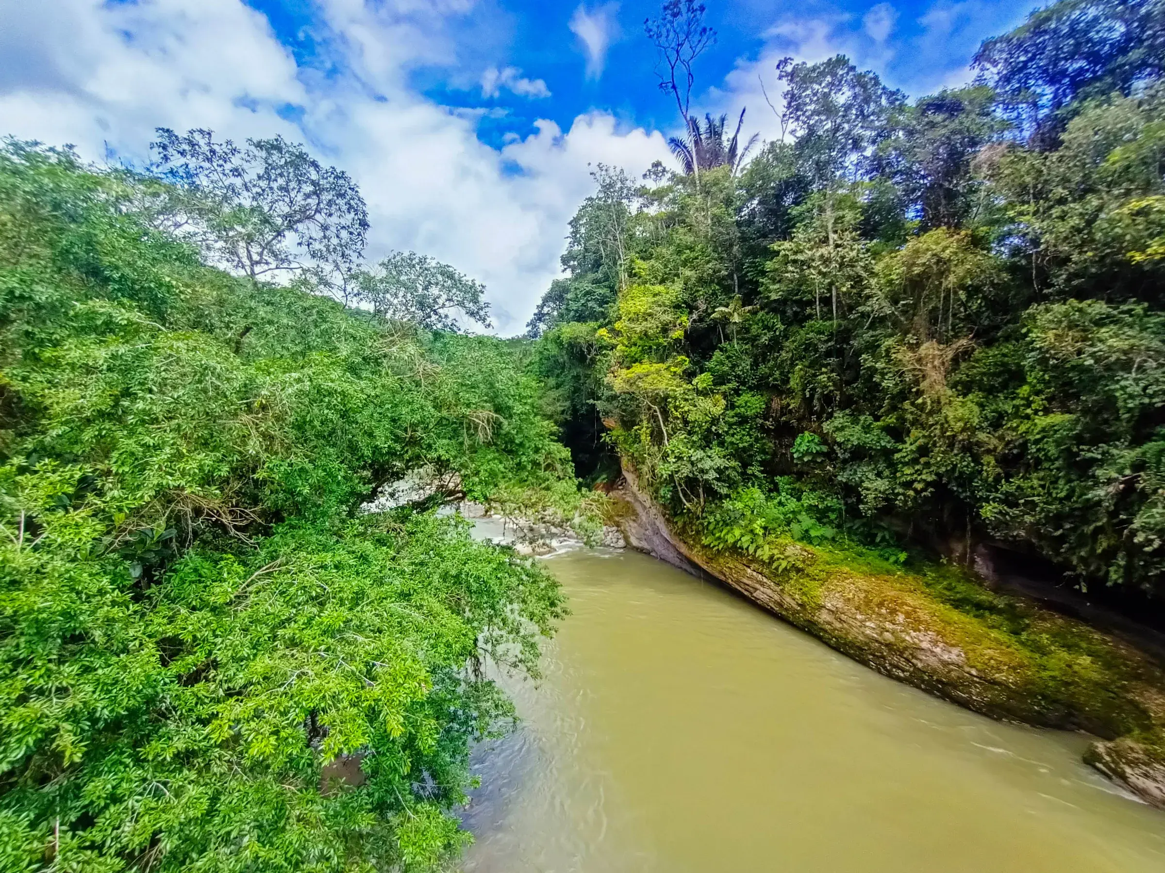 Río y camino selvático hacia el pie de monte