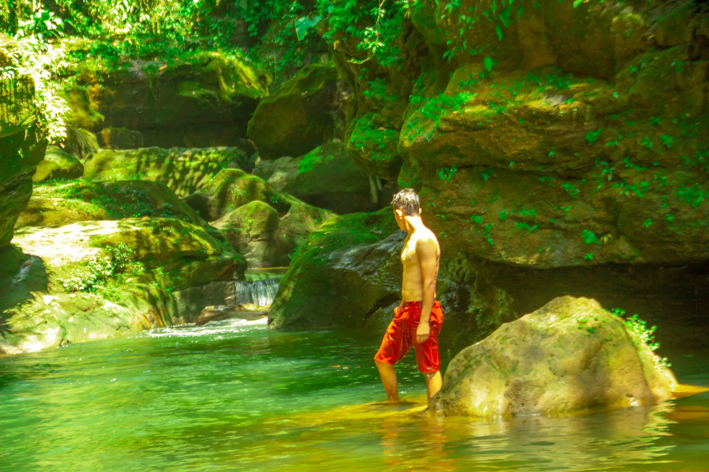 Poza y cascada de la reserva Sunguyacu