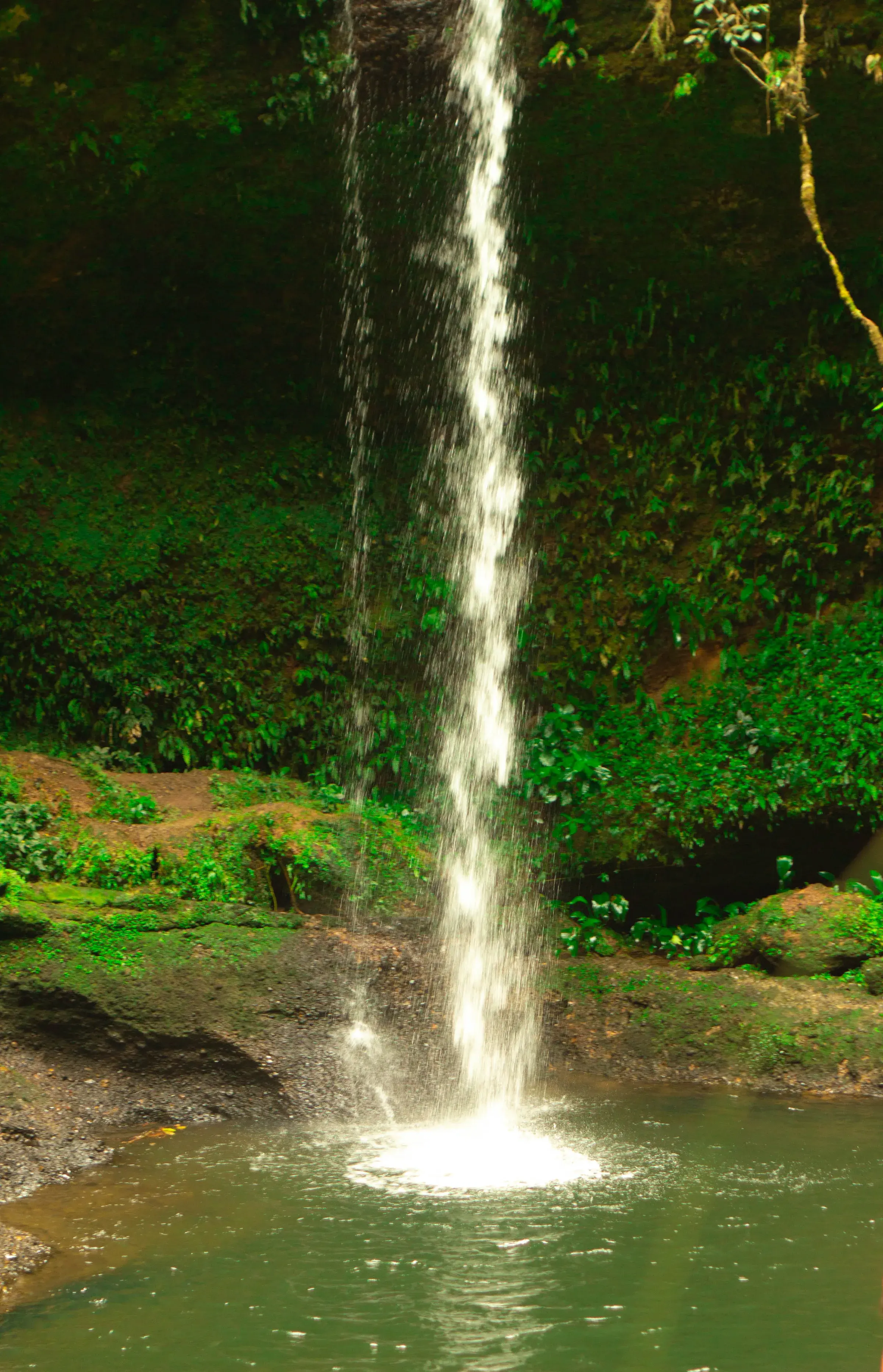 Caída de agua del Salto del Golondrino