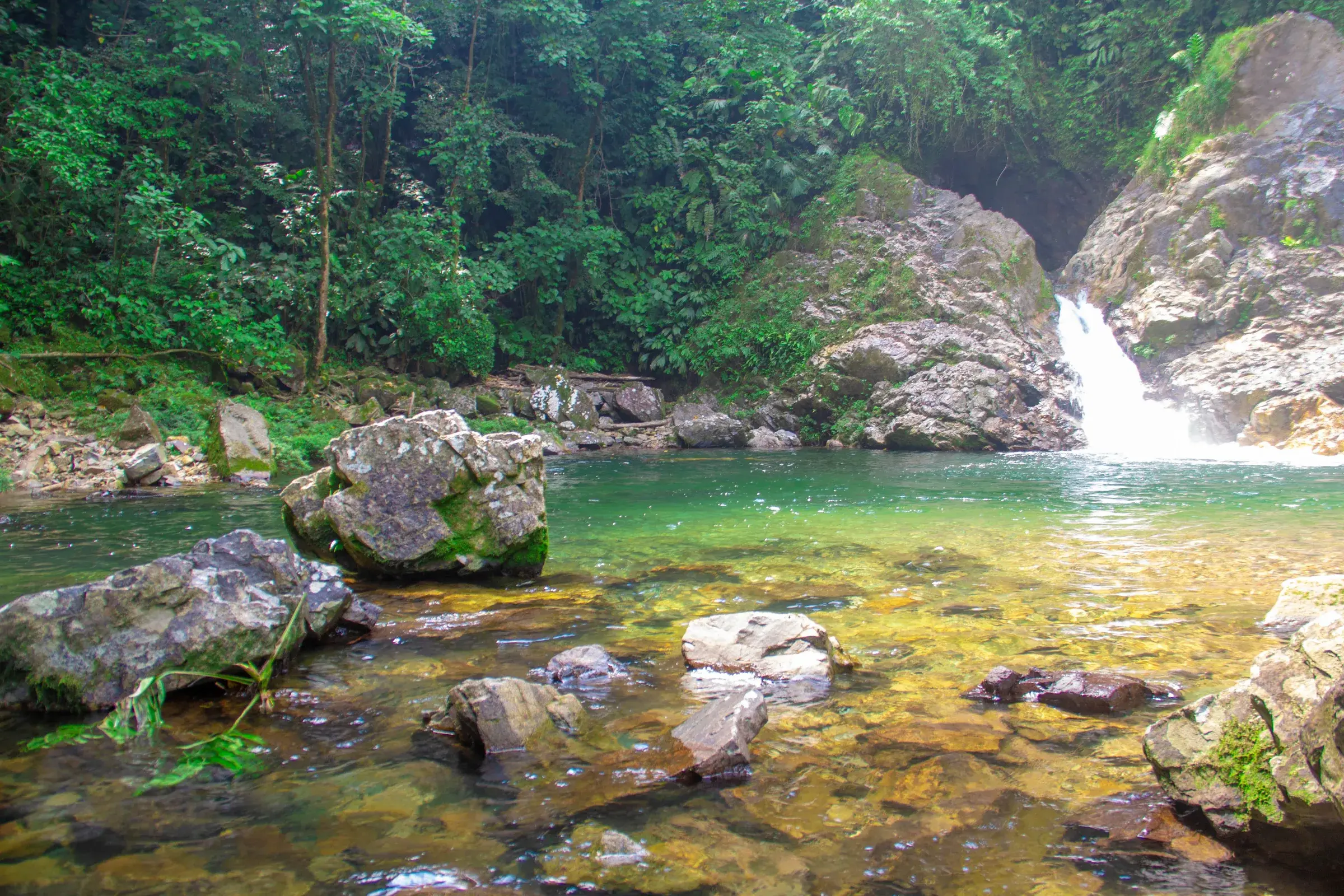 Cascada y piscina natural de aguas verdes en Canalendres