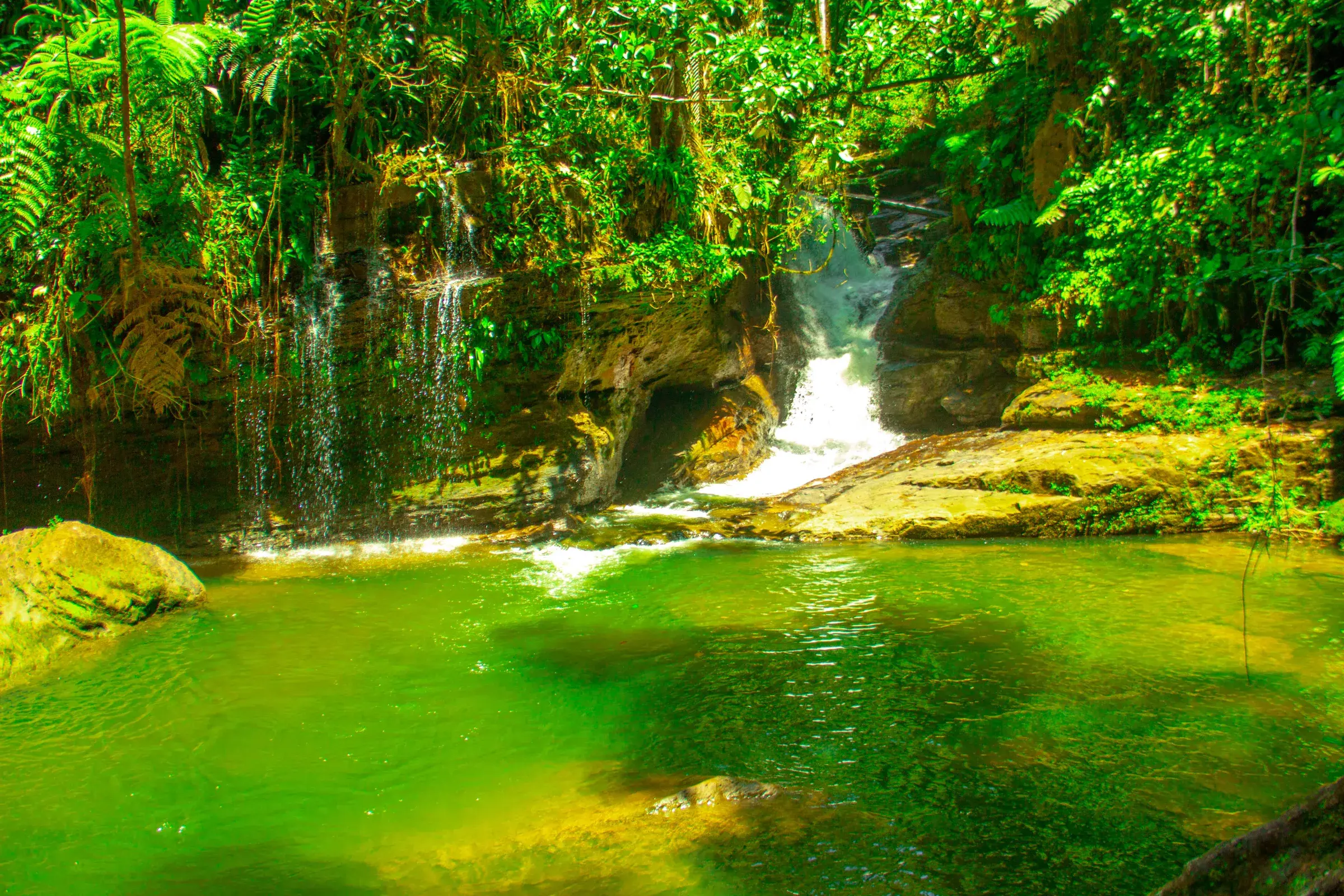 Cascada de la quebrada Sardinas cayendo a una poza verde
