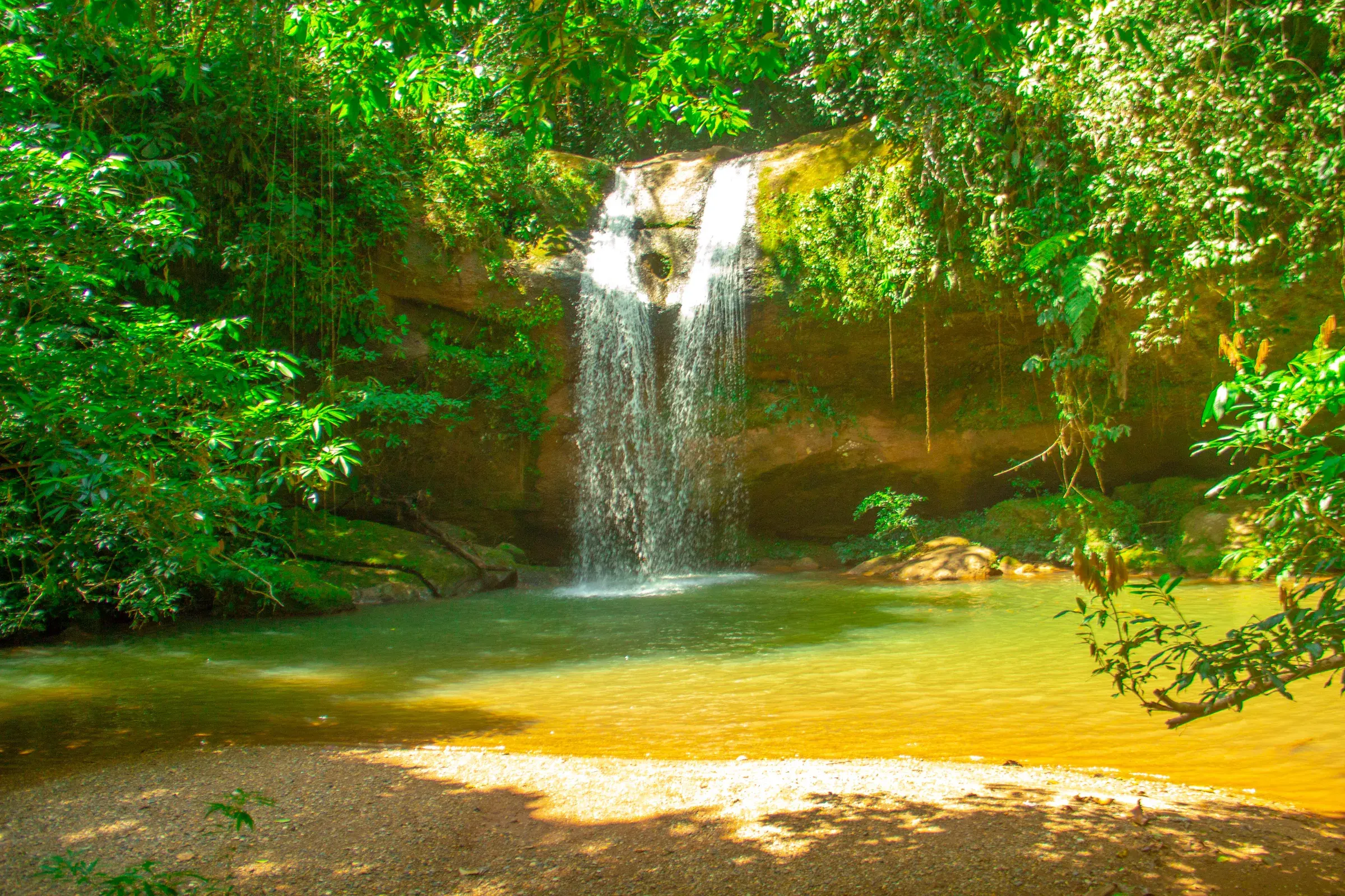Cascada cayendo en una poza verde de la selva