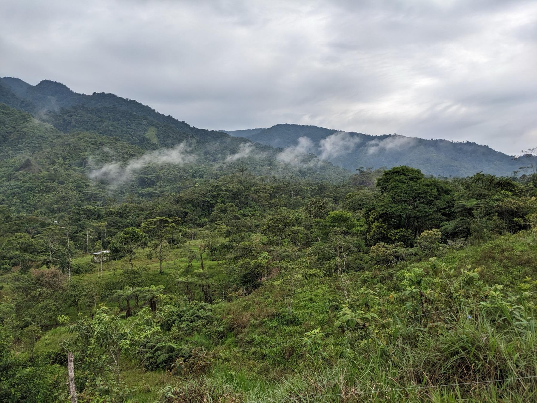 Montañas y selva del piedemonte amazónico entre la niebla