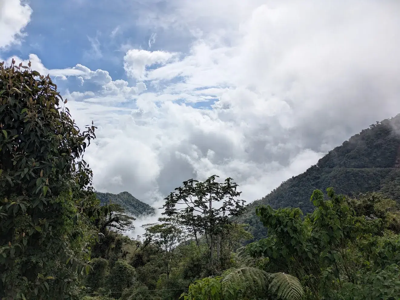Carretera de montaña entre la selva rumbo a Mocoa, Putumayo (Trampolín de la Muerte)